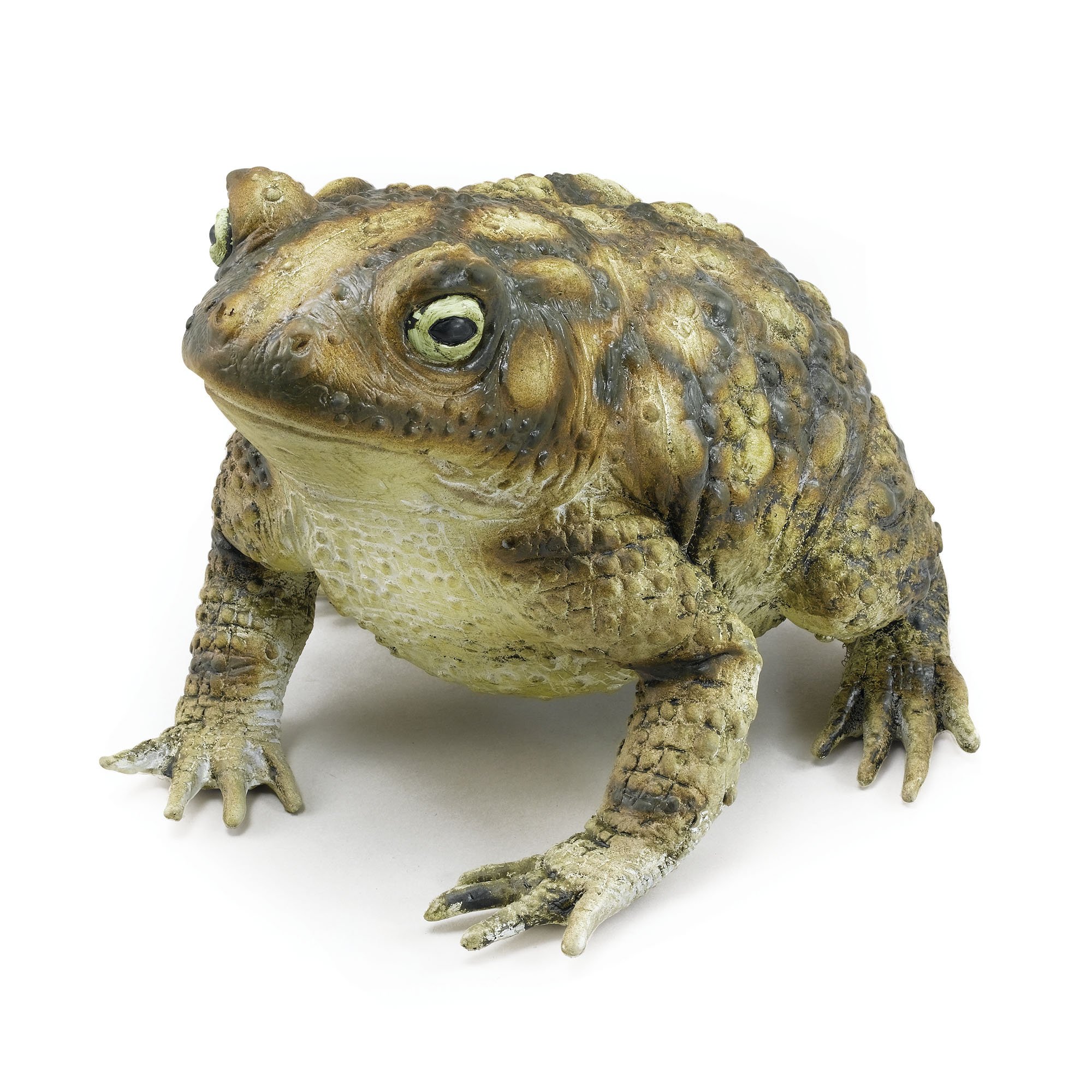 Amazon.com: Bristol Novelty AK049 Rubber Toad Prop, Green/Brown
